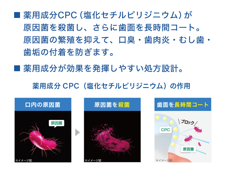 薬用成分CPC （塩化セチルピリジニウム）が原因菌を殺菌し、さらに歯面を長時間コート。原因菌の繁殖を抑えて、口臭・歯肉炎・むし歯・歯垢の付着を防ぎます。薬用成分が効果を発揮しやすい処方設計。